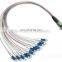 MPO(Female)-MPO(Female) 8Core SM 9/125um G.652D Trunk Cable 3M Polarity B fiber optical patch cord mtp-mtp om4