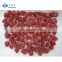 BRC Approved Factory of Frozen Strawberry IQF