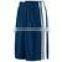 Striped Dazzle Basketball Shorts / Dazzle Basketball Short / Trainer Basketball Shorts