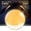Wake Up Light Clock With Magic Light Supporting Sunrise Alarm Clock, Dual Alarm+snooze Feature With Natural Sounds And Fm Radio