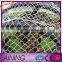 Hot! Nylon Net To Catch Birds & HDPE Anti Bird Net