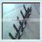 galvanized wall spikers(factory price)