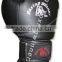 Training / Sparring Gloves