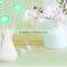 Romantic night light/Decorative lamp light sensing USB night light atmosphere