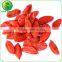 Wholesale Dried Fruits Goji Berry Organic