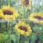 Handmade Oil Painting on Waterproof Cotton And Poly Blend Inkjet Canvas