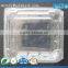 Clamshell Plastic PET Fruit Container