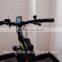 750W Fat Tire Snow Beach Electric Bike