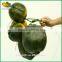 high quality artificial coconut man-made plastic coconut for decorative