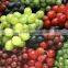 grape concentrate juice for drink ,fruit juice concentrate,grape juice,concentrated grape juice