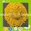 PE/PP Plastics used Color Masterbatch/Master Batch with High Covering