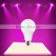 Factory price Hotsale top quality CE ROHS 3W A60 SMD e27 led bulb
