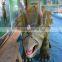adult entertainment equipment exhibition riding dinosaur