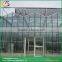 Venlo roof type best plastic greenhouse glass greenhouse windows