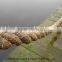 Wholesale 100% nature color jute rope with competitive price