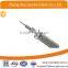 AAC conductor/ BS EN 50182 conductor/AAC Drone/AAC Maybug/ AAC Spider