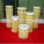 top quality canned white asparagus