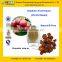 GMP Factory Supply Top Quality Hawthorn Berry Extract/Hawthorn Leaf Extract