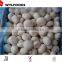 frozen Champignons mushrooms for sale