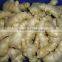 Fresh air dried ginger