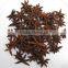 MANUFACTURER OF SPRING STAR ANISE