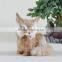 life like soft stuffed toy fox animal