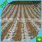 Seed planting and cultivating mulch film weed control mat