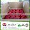 Top quality Spunbond non woven table cloth