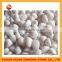 decorative pebble tile,indoor wall stone