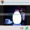 egg shape led lamp/wireless remote control 16 color change led lamp