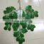 CHY070916 High initation oak tree leave outdoor