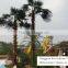 Home and outdoor garden edging decoration 1ft to 33ft or 1m to 10m Height artificial fiberglass palm tree EZLS08 0806