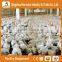 Trade Assurance Poultry Equipment Automatic Feeding System for Broiler