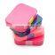 China Cheap Custom Hot Case Plastic Compartment School Lunch Box 2016