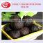 500g per bag single black garlic,peeled fermented garlic