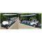 The electric golf cart