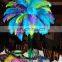 FTH13 Centerpiece ostrich large decorative feather