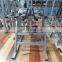 sports equipment/machine gym /Reverse Hyper Extention