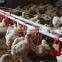 Manufacture of Haimu J-09 on frip line water -saving poultry nipple drip cup