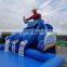 Giant inflatable pool slide/tropical inflatable water slide with pool for kids and adults