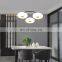 Home hotel decor pendant lamp