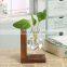 Home decoration tube clear Glass planter Glass vase with wood stand