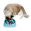 Pet Food Slow Feeder Dog Bowl