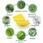 Sticky Insect Trap for Flying Plant Insect Insect Sticky Glue Traps Mousquito Killer Newest Design Double Sided Yellow 2 Year
