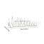 Stainless Steel Anti  Pigeon  Bird Deterrent  Bird Spike