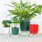 2022 Small Garden Indoor Nursery Black Transparent Rose Artificial Mini Plastic Holder Plant Pots Flower