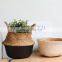 Dipped Color Seagrass Belly Basket, Planter Pot, Best Seller Woven Plant Holder Wholesale made in Vietnam