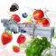 Commercial Restaurant Orange Industrial Equipment Bubble Washer Clean Line Fruit And Vegetable Wash Machine