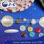 colourfull trocas shell button in stock