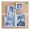 plastic material family tree PP photo frame hanging on wall